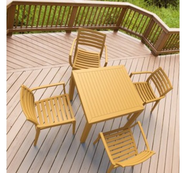 Artemis Outdoor Dining Arm Chair (Set of 4)