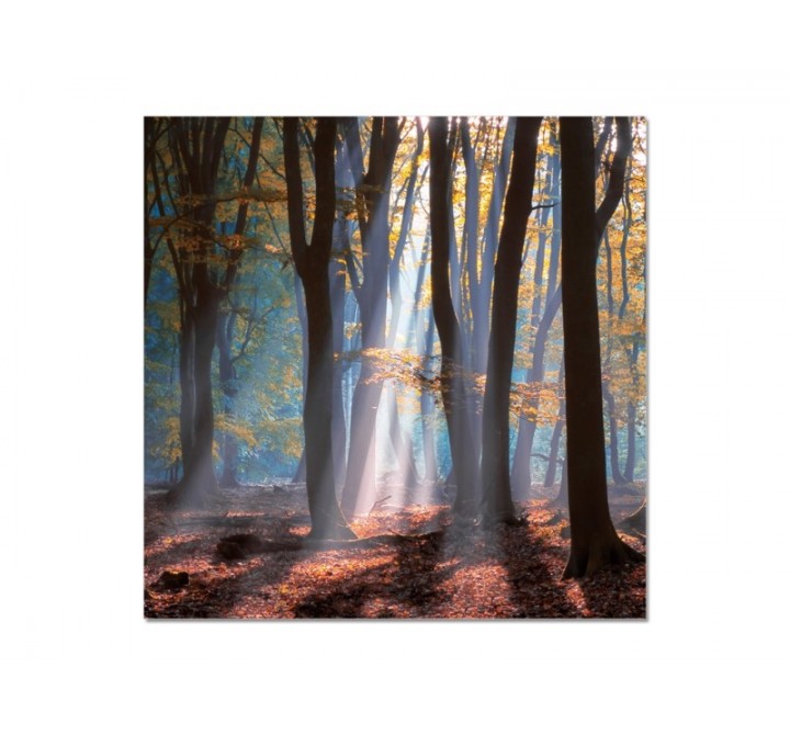 Bellini Modern Living Acrylic Picture of HIDDEN ESCAPE