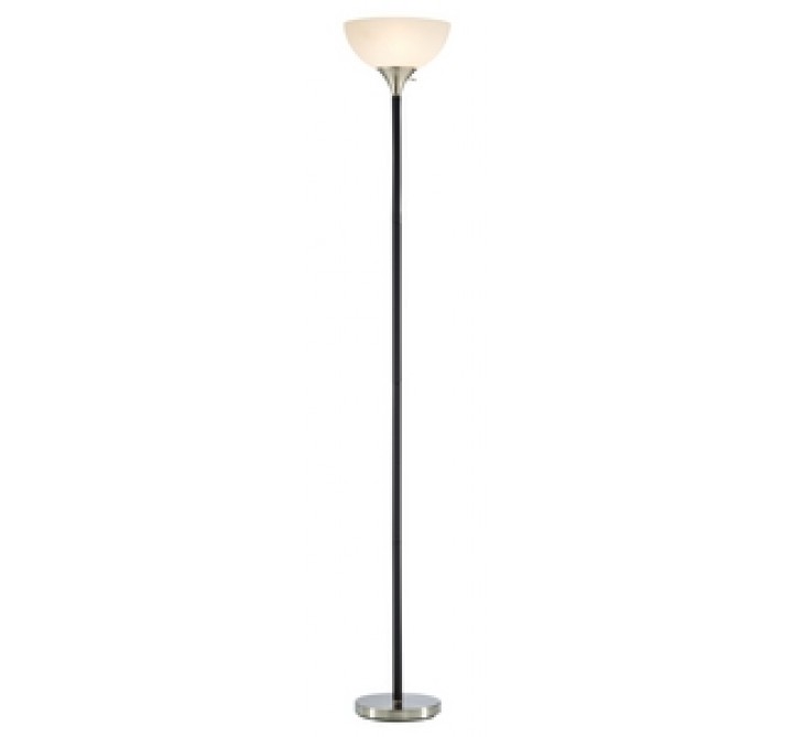 Adesso Gander Floor Lamp