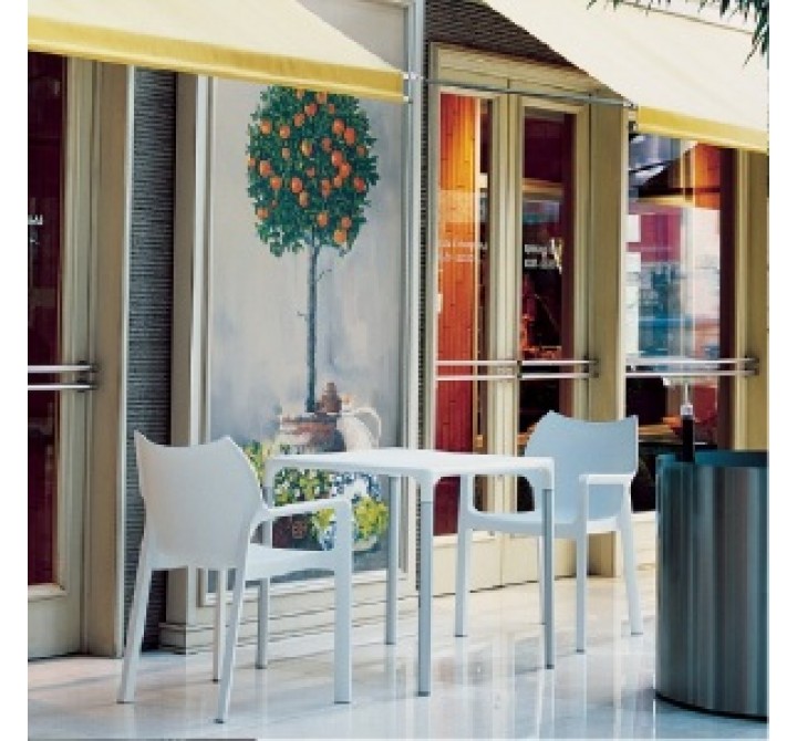 Compamia Diva Resin Outdoor Dining Arm Chair - Set of 4