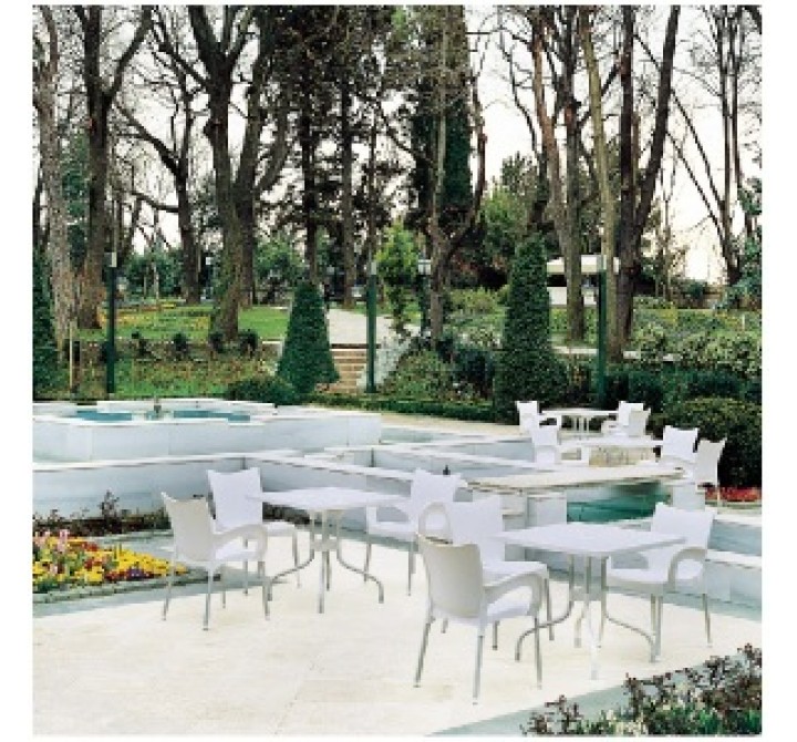 Compamia Romeo Resin Dining Arm Chair - Set of 4