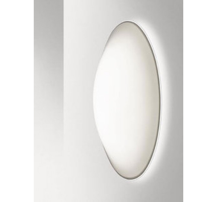 Illuminating Experiences Nemo Series Oval Wall and Ceiling Light