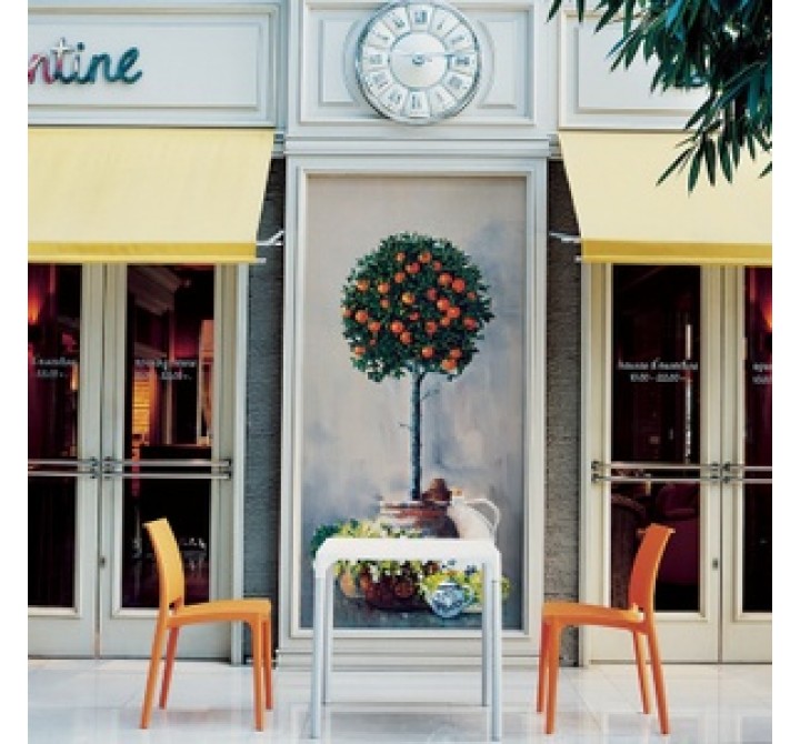 Compamia Maya Dining Chair - Set of 2