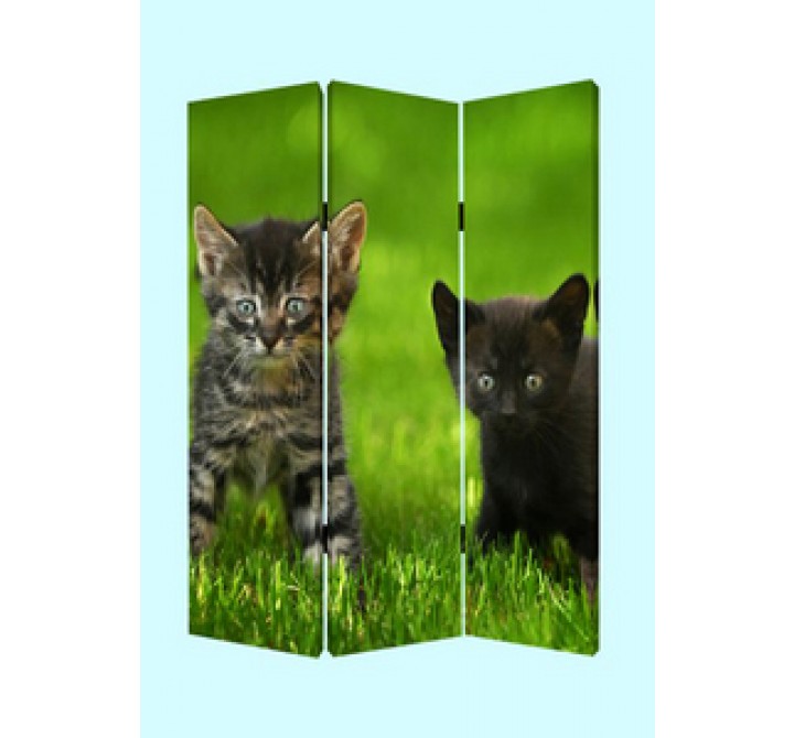 Screen Gems Curious Cat Screen