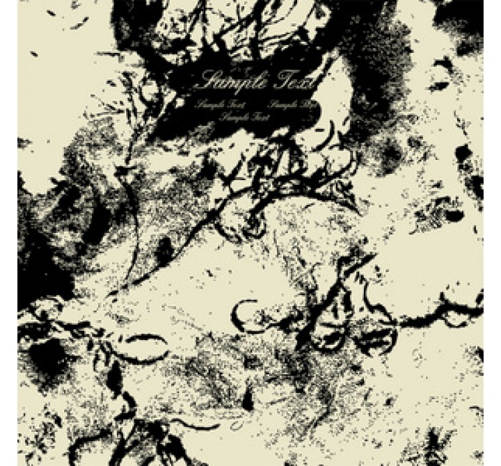 Screen Gems Canvas Printing Wall Decor