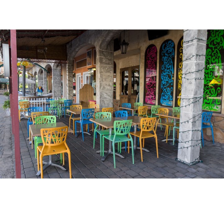 Phoenix Side Chair - Lifestyle