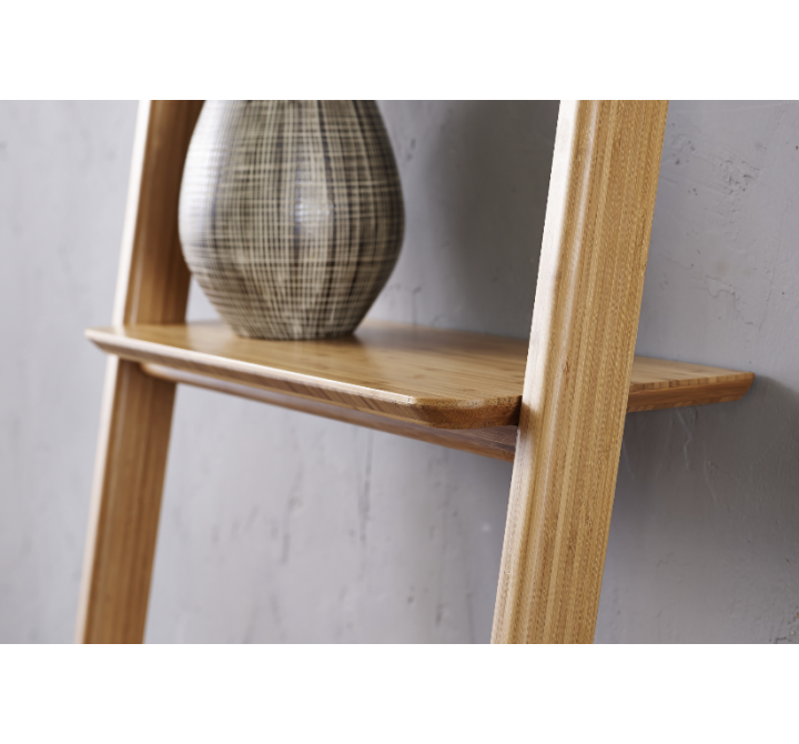 Currant Leaning Bookshelf - Carmalized