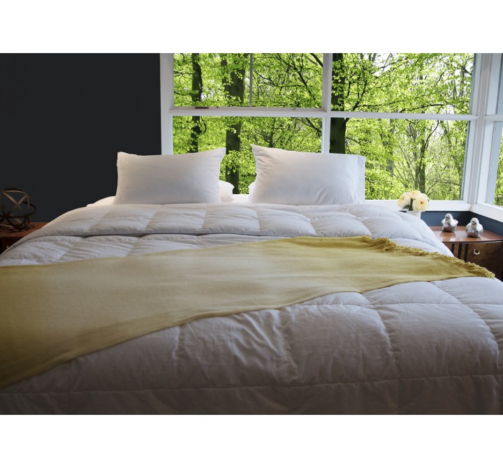 All Season Silver Antimicrobial White Goose Down Alternative Comforter - Queen