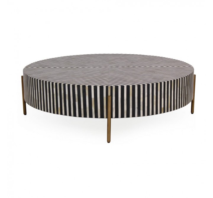 Moe's Home Collection Chameau Coffee Table - Front