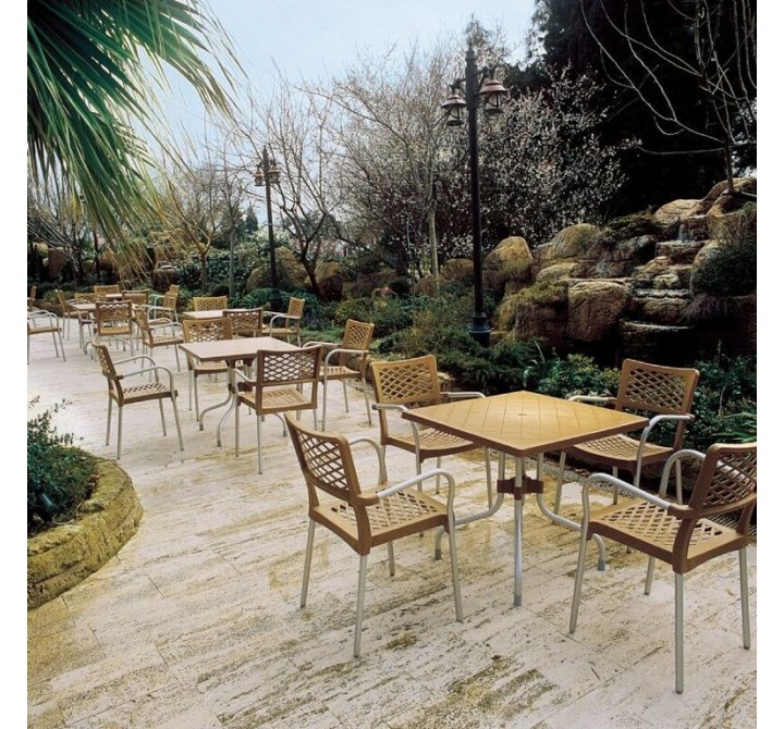 Compamia Bella Resin Dining Arm Chair - Set of 4