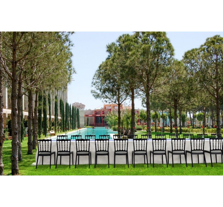 Compamia Napoleon Dining Chair - Set of 2