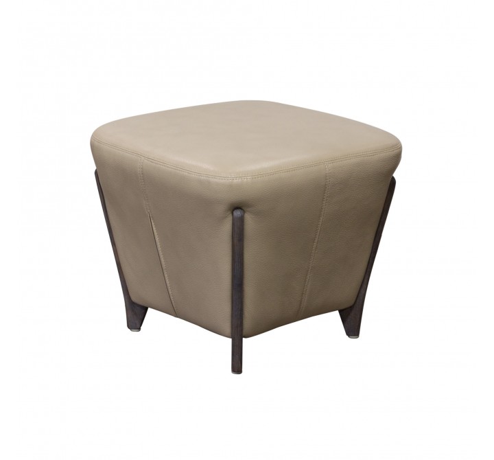 Diamond Sofa Monaco Square Ottoman in Tan Blended Leather with Ash Wood Trim & Leg 