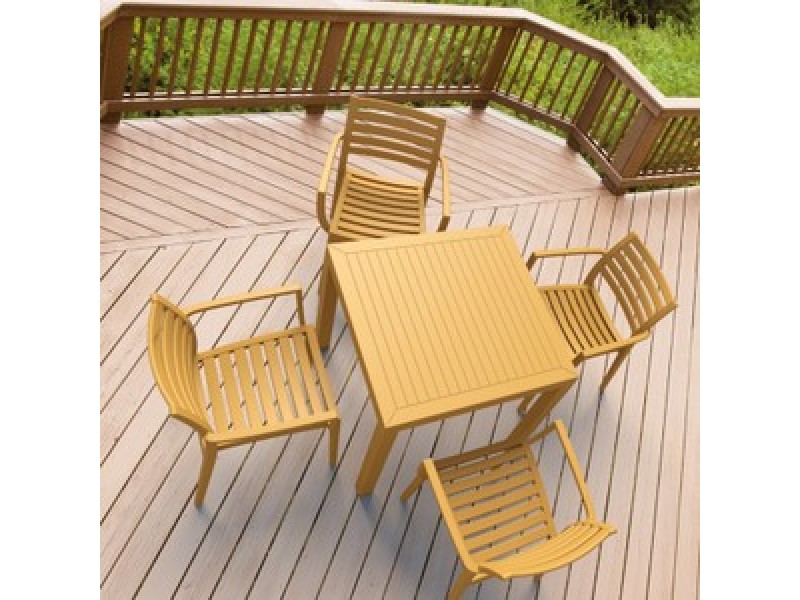 Artemis Outdoor Dining Arm Chair (Set of 4)