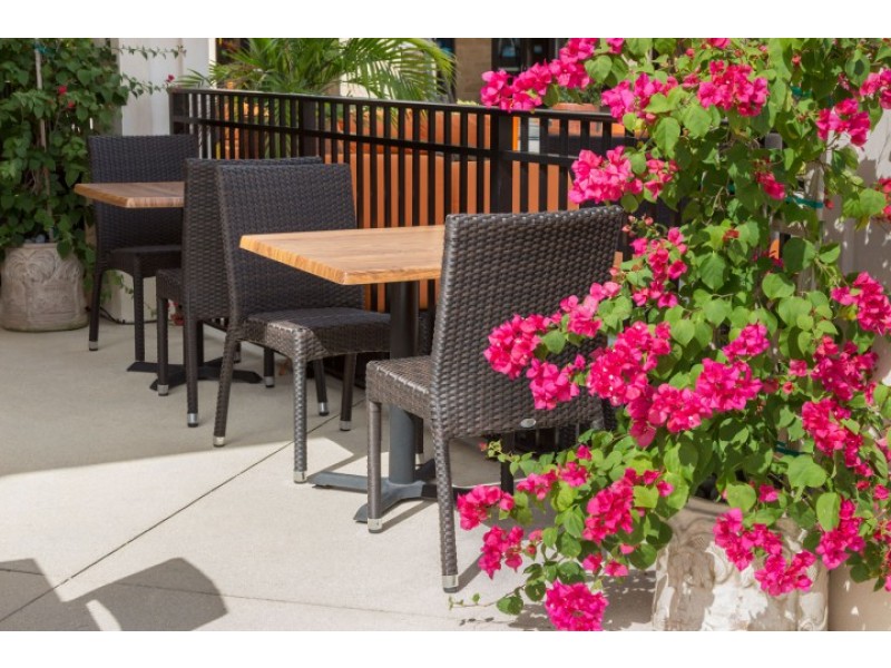 Sierra Dining Side Chair - Espresso - Lifestyle
