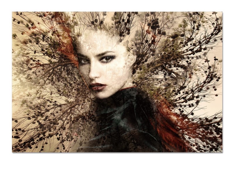Bellini Modern Living Acrylic Picture of Her - SORCERESS