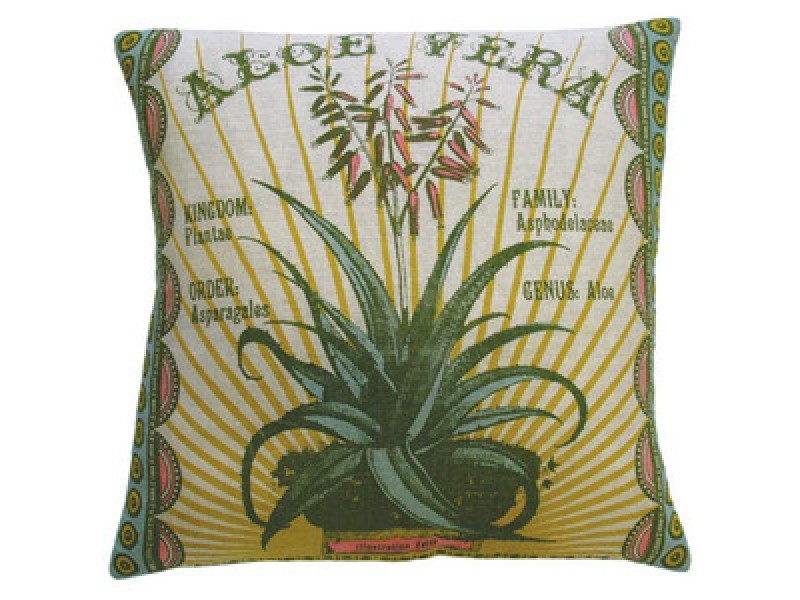 Koko Company Botanica 20" x 20" Linen Pillow with Aloe Vera Print