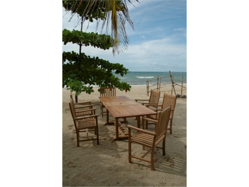 Anderson Teak Rectangular Extension Table and Wilshire Dining Armchair