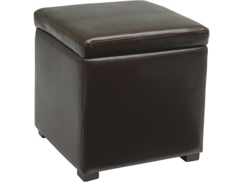 Avenue Six Detour Storage Cube with Tray in Espresso Eco Leather Fabric