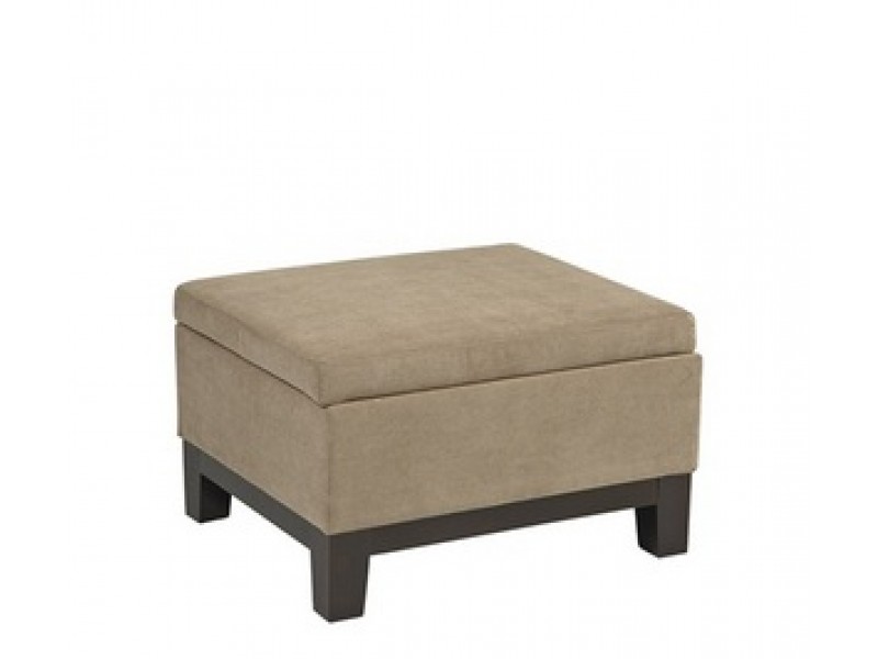 Avenue Six Regent Storage Ottoman in Easy Brownstone Fabric