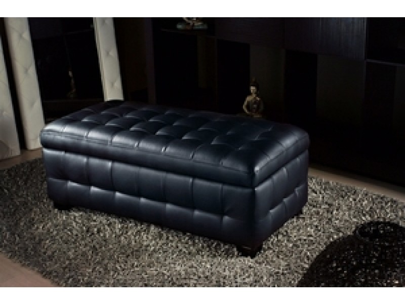 Diamond Sofa Zen Collection Bonded Leather Lift Top Tufted Storage Trunk 