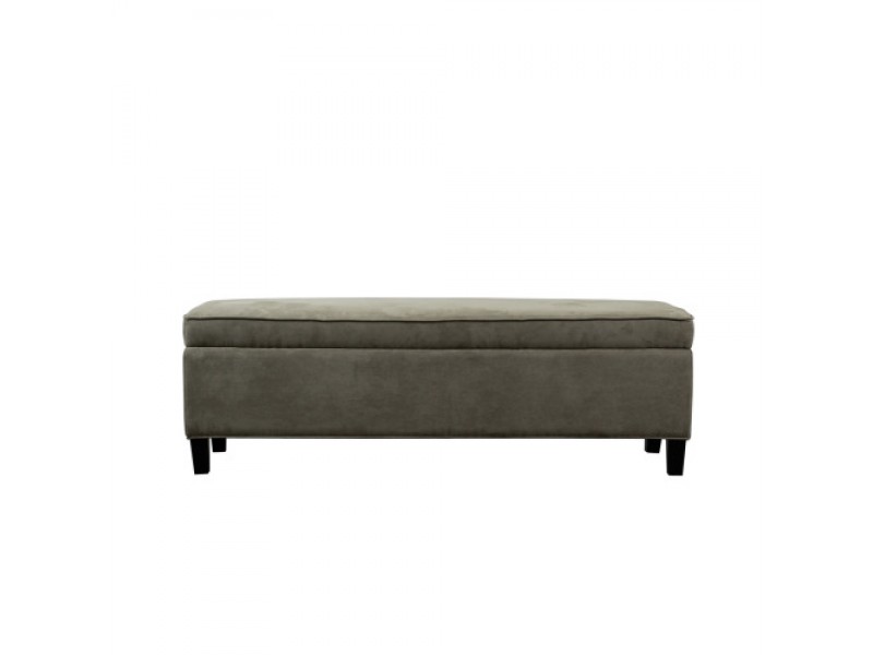 Diamond Sofa Joyce Lift-Top Storage Trunk in Mint Microfiber