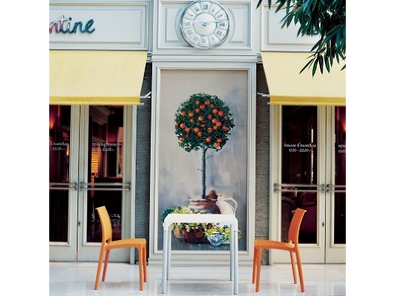 Compamia Maya Dining Chair - Set of 2
