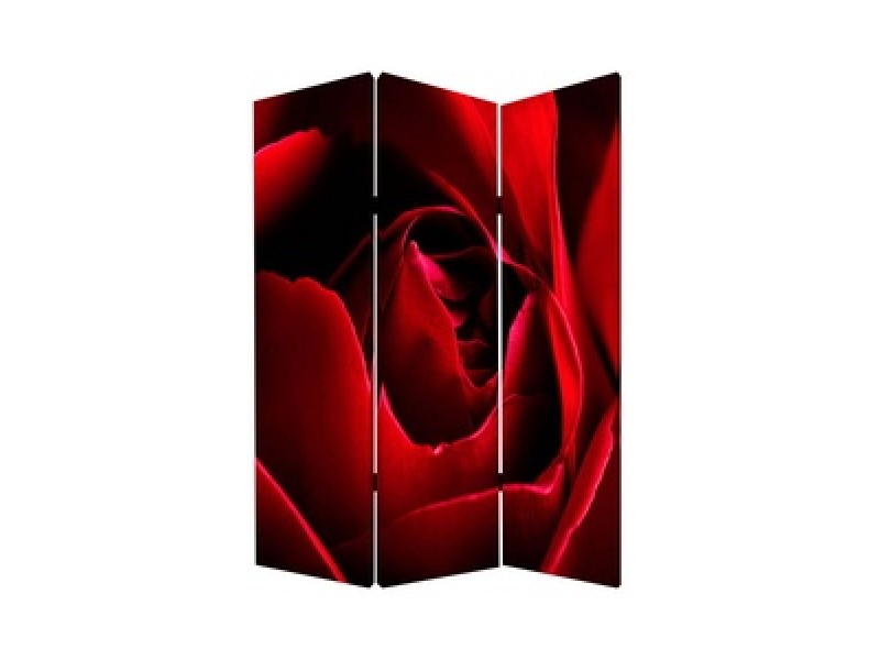 Screen Gems Rose Screen