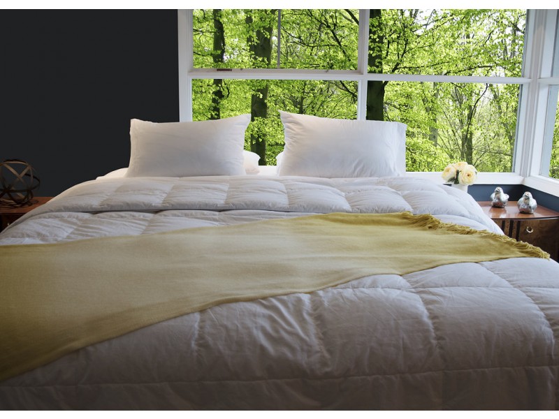 All Season Silver Antimicrobial White Goose Down Alternative Comforter - Queen