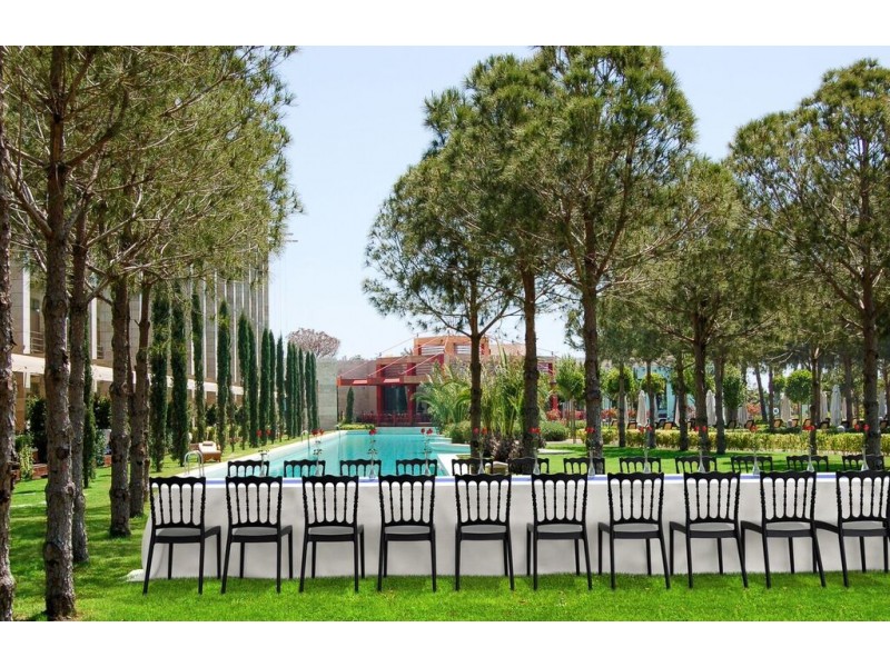 Compamia Napoleon Dining Chair - Set of 2