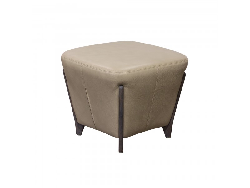 Diamond Sofa Monaco Square Ottoman in Tan Blended Leather with Ash Wood Trim & Leg 