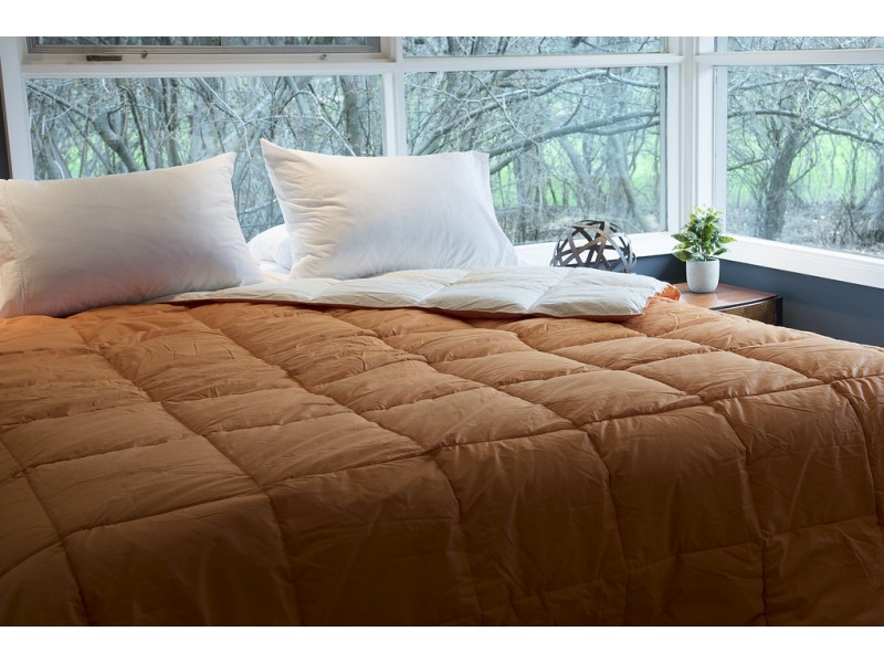 All Season loe Vera Reversible Solid Color Comforter - Twin