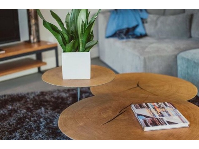 Oakley 12" Low Coffee Table In Oak Veneer - Lifestyle