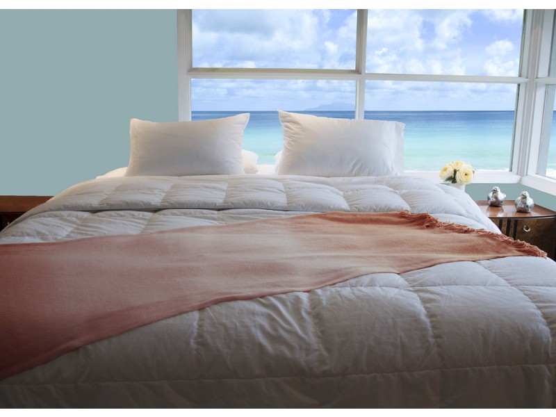 Premium Silver Antimicrobial White Goose Down Comforter - 800 Thread Count Egyptian Cotton