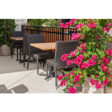 Sierra Dining Side Chair - Espresso - Lifestyle