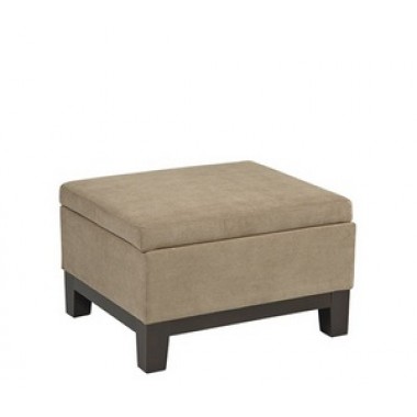 Avenue Six Regent Storage Ottoman in Easy Brownstone Fabric