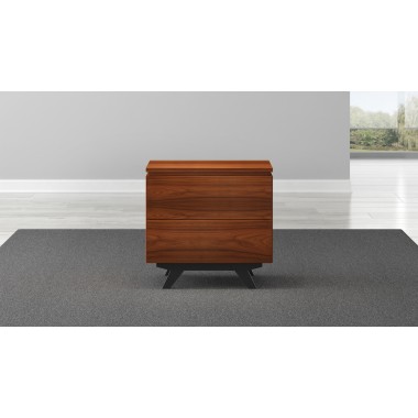 Furnitech Signature Home 24" Mid-Century Modern End Table in Iron Wood -Closed