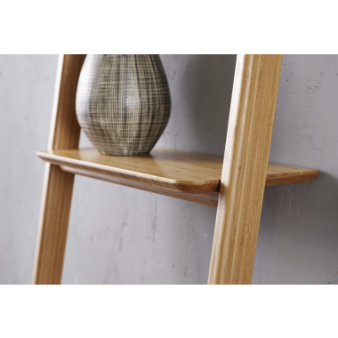 Currant Leaning Bookshelf - Carmalized