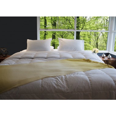 All Season Silver Antimicrobial White Goose Down Alternative Comforter - Queen