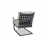 Provence Aluminum Club Rocker - Back