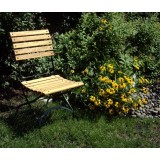5509T-BK in Garden