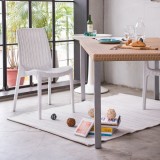 Rue Stack-able Rattan Dinning Chair - Lifestyle 2