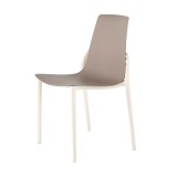 Papillon Stylish Dinning Chair - Grey - Angled
