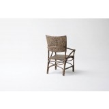 Jester Dining Armchair - Back Angled
