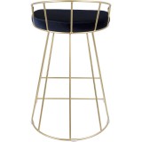 GOLD W/ BLUE VELVET - Rear
