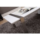 Coffee Table - White with Brushed Stainless Steel - edge