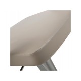 Whiteline Modern Living Zuri Barstool - Taupe - Seating