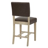 Carson Counter Stool - Elite Espresso Bonded - Back