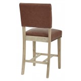 Carson Counter Stool - Elite Saddle Bonded - Back