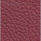 FC21 Red Leather