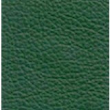 FCJ503 Green